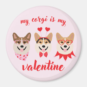Imã Meu Corgi É Meu Namorados