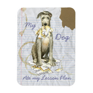 Ímã Meu Deerhound Escocês Comeu meu Plano de Lição