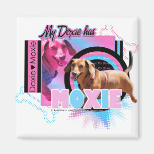 Imã Meu Doxie tem Moxie