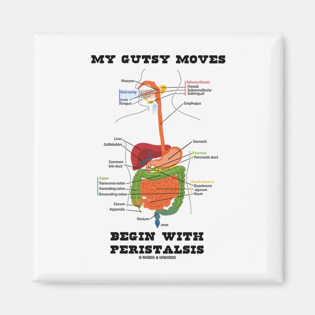 Imã Meu Espetáculo Começa Com Peristalsis (Digestivo) (Frente)