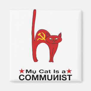 Imã Meu Gato é um excelente COMUNISTA ideias políticas
