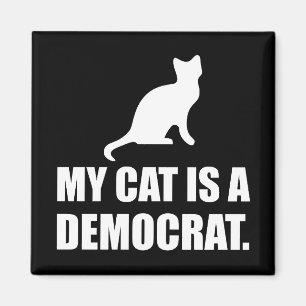 Imã Meu gato é um político engraçado de Democrata