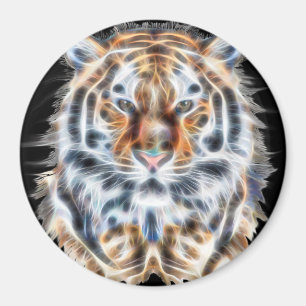 Imã Meu gato está actuando acima da energia corajosa