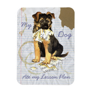 Ímã Meu German shepherd Comeu Meu Plano De Lição
