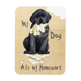 Ímã Meu Laboratório Preto Comeu Meu Trabalho De Casa