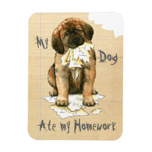 Ímã Meu Leonberger Comeu Minha Casa