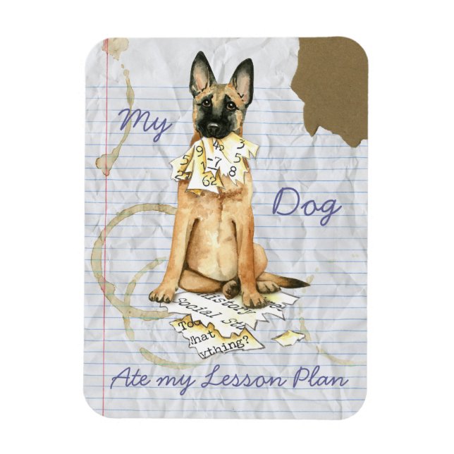Ímã Meu Malinois Comeu Meu Plano De Lição (Vertical)