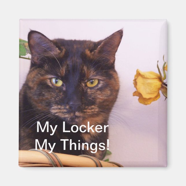 IMÃ MEU MEIO DE TRAVAMENTO (Frente)