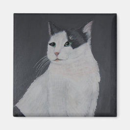 Imã Meu Melhor Lado