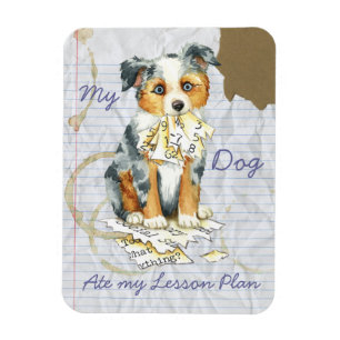 Ímã Meu Mini Pastor Americano Comeu Meu Plano De Liç