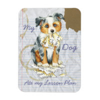 Meu Mini Pastor Americano Comeu Meu Plano De Lição