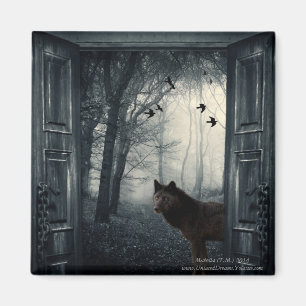 Imã Meu Mundo Secreto