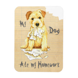 Ímã Meu Norfolk Terrier Comeu Meu Trabalho De Casa