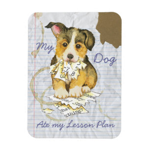Ímã Meu Pembroke Welsh Corgi Comeu meu Plano de Lição