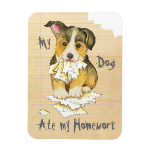 Ímã Meu Pembroke Welsh Corgi Comeu Meu Trabalho De Cas