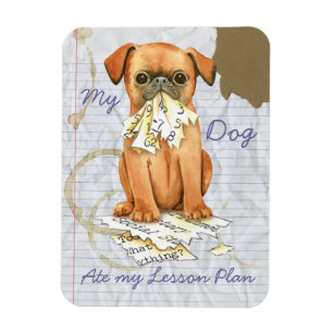 Ímã Meu Petit Brabancon Comeu Meu Plano de Lição