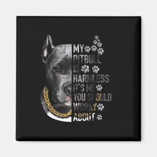 Imã Meu Pitbull é inofensivo. Sou eu que você deveria