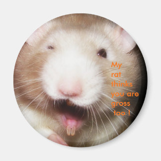 Imã Meu rato...imã extrapolado