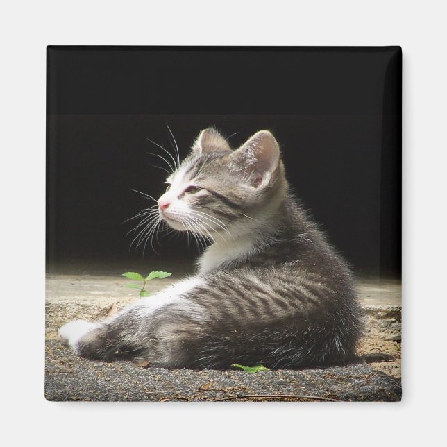 Imã Meu relógio (Frente)