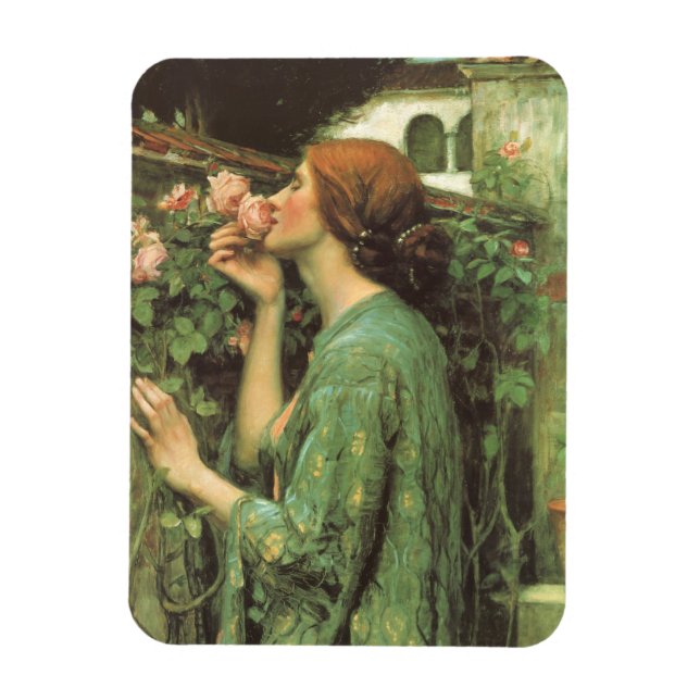 Ímã Meu Rosa doce, ou Alma do Rosa por Waterhouse (Vertical)
