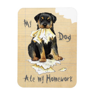 Ímã Meu Rottweiler Comeu Meu Trabalho De Casa