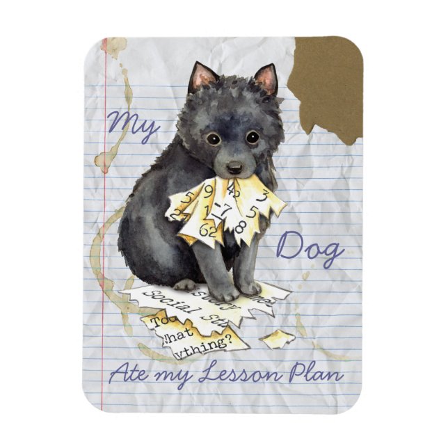 Ímã Meu Schipperke Ate Meu Plano De Lição (Vertical)