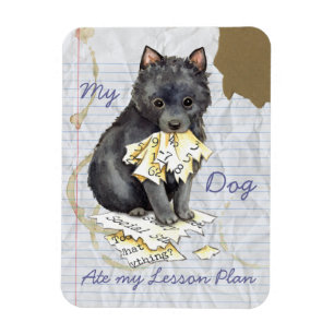 Ímã Meu Schipperke comeu meu plano de aula
