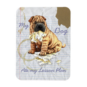 Ímã Meu Shar-Pei Chinês Comeu Meu Plano de Lição