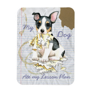 Ímã Meu Ursinho Roosevelt Terrier Ate Meu Plano De Liç