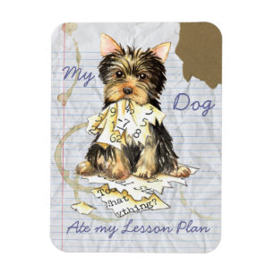 Ímã Meu Yorkie comeu meu plano de lição
