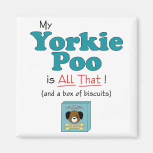 Imã Meu Yorkie Poo é todo o isso!