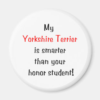 Imã Meu Yorkshire Terrier é mais inteligente...