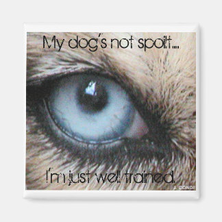 Imã Meus cachorros não estragam, só estou bem treinado