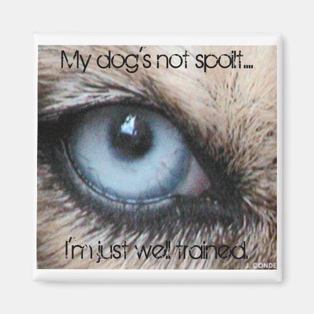 Imã Meus cachorros não estragam, só estou bem treinado (Frente)