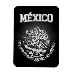 Ímã México Casaco de Arms
