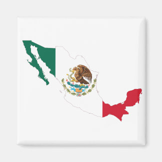 Imã Mexico Flag Map