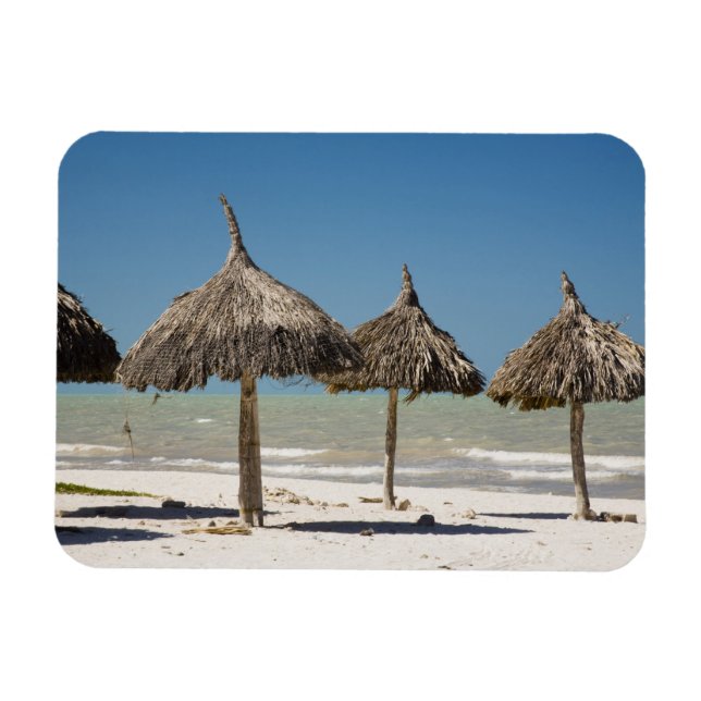 Ímã México, Península de Yucatán, Progreso. Palha (Horizontal)