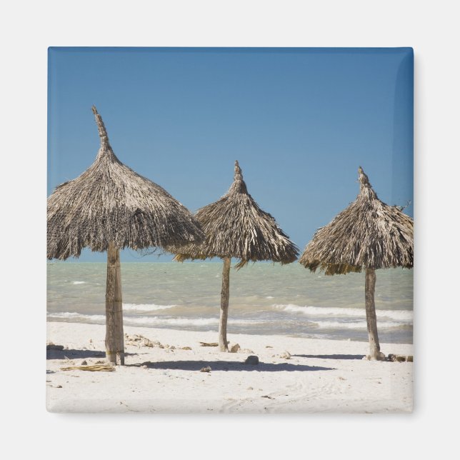 Imã México, Península de Yucatán, Progreso. Palha (Frente)