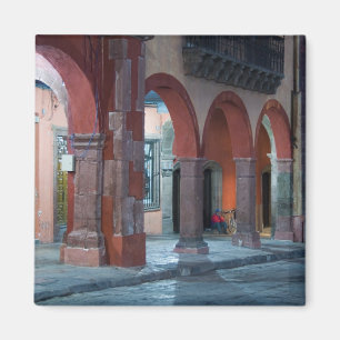Imã México, San Miguel de Allende, O Jardin,