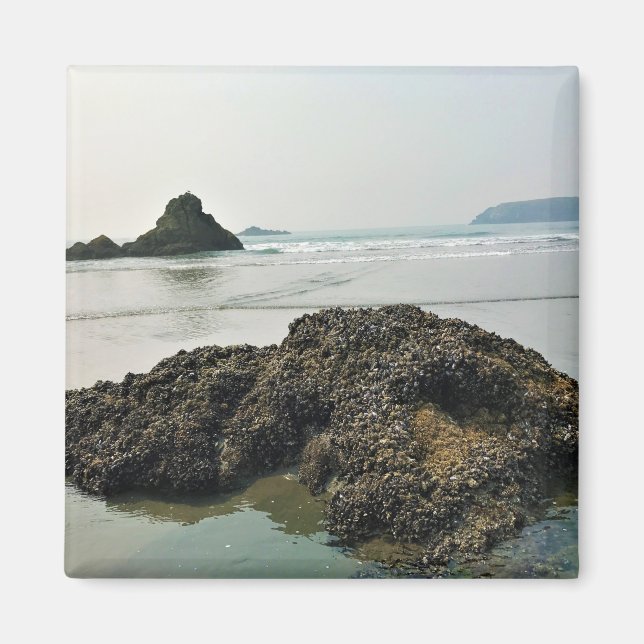 Imã Meyers Beach North, Dourada Beach, Oregon (Frente)