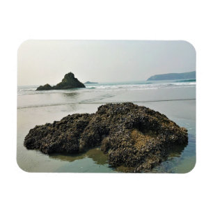 Ímã Meyers Beach North, Dourada Beach, Oregon
