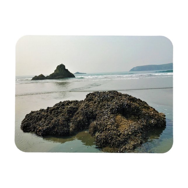 Ímã Meyers Beach North, Dourada Beach, Oregon (Horizontal)