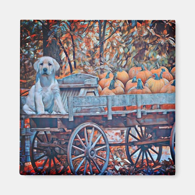 Imã Mia Magnet (Frente)