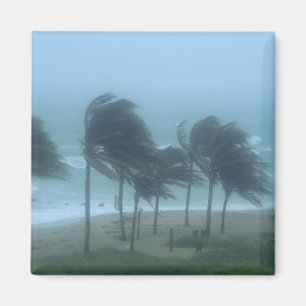 Imã Miami Beach, Flórida, ventos de furacão açoitando