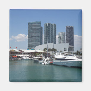 Imã Miami bonito