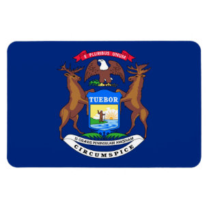 Ímã Michigan