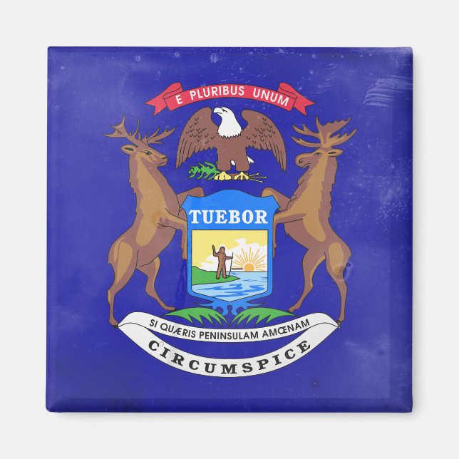 Imã Michigan (Frente)