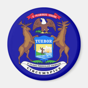Imã Michigan Flag