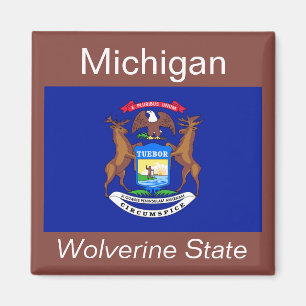 Imã Michigan Flag Magnet