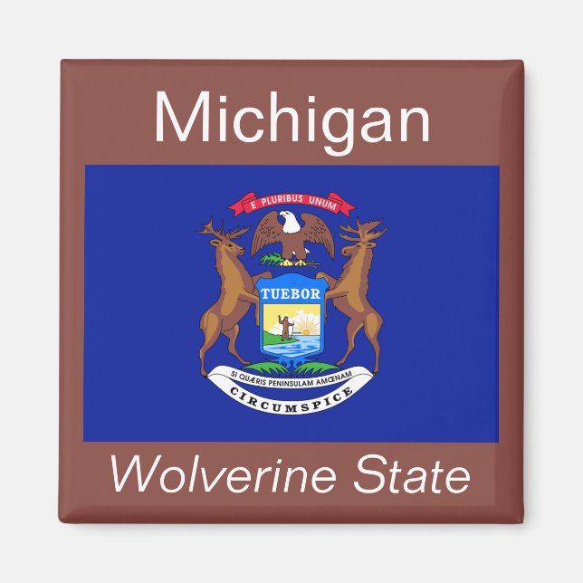 Imã Michigan Flag Magnet (Frente)